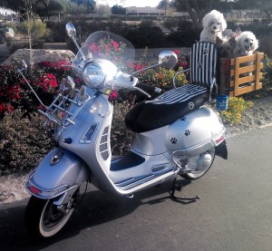 Vespa GTS Custom Dog